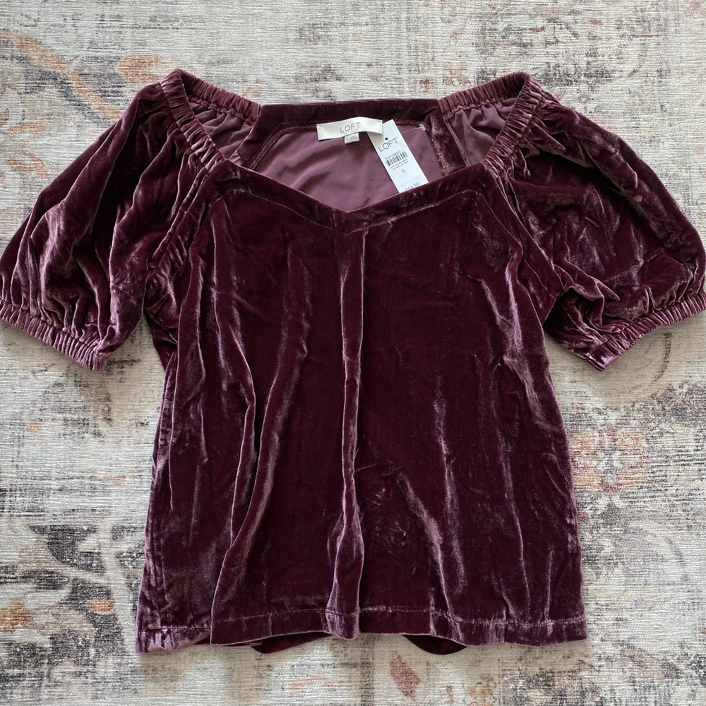 Loft velvet puff sleeve top